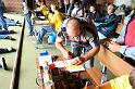 Stand_300m_de_Galmiz031