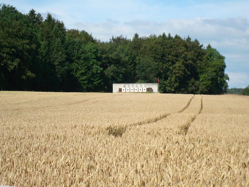 Stand_300m_de_Wallenried_01.jpg