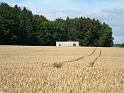 Stand_300m_de_Wallenried_01